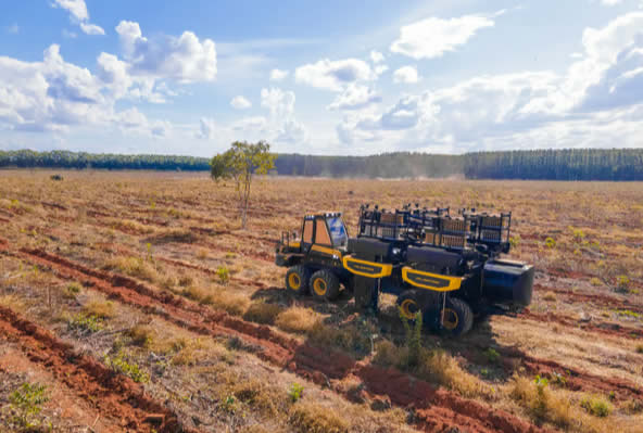 Operación automatizada de plantación Ponsse