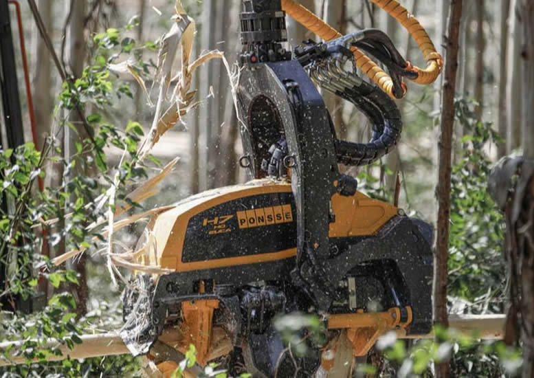 Detalle de rodillos descortezadores Ponsse H7HD EUCA