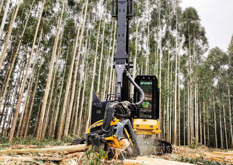 Cabezal Ponsse H8HD Euca operando en monte